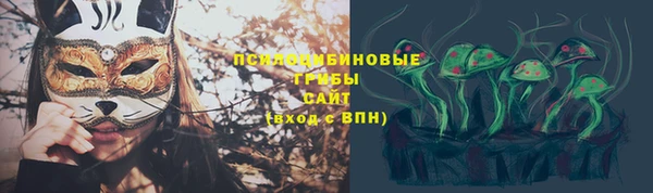 дурь Лагань