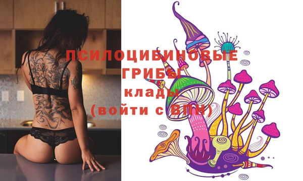 гидра Лабытнанги