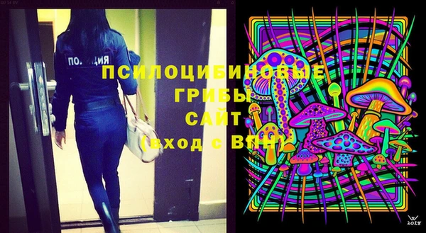 хмурый Ладушкин