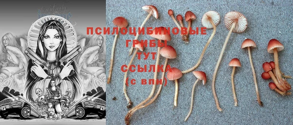 хмурый Ладушкин
