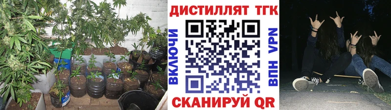 кракен рабочий сайт  Чегем  Дистиллят ТГК THC oil 